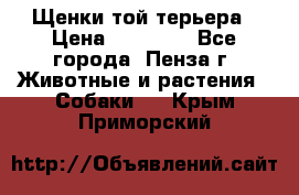 Щенки той терьера › Цена ­ 10 000 - Все города, Пенза г. Животные и растения » Собаки   . Крым,Приморский